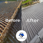 Roof Moss Removal Falkirk