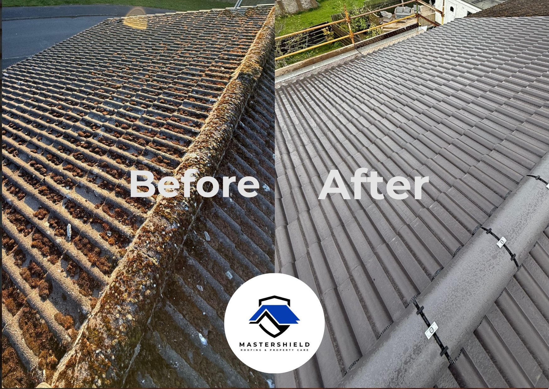 Roof Moss Removal Falkirk: How Moss and Algae Affect Roofs in Falkirk and What You Can Do