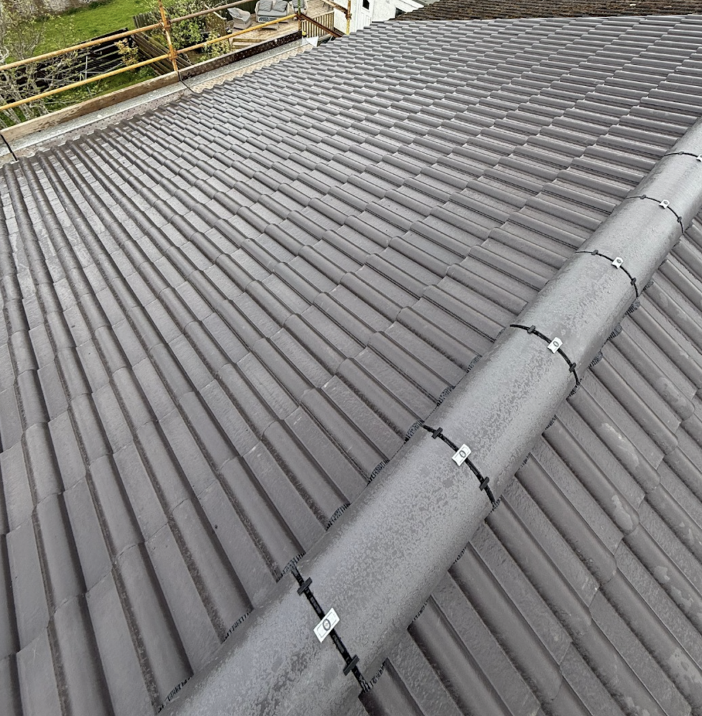 Roof Moss Removal Falkirk